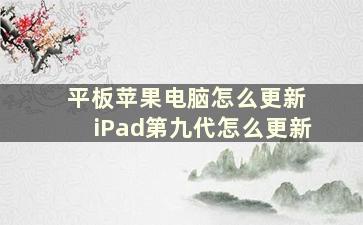 平板苹果电脑怎么更新 iPad第九代怎么更新